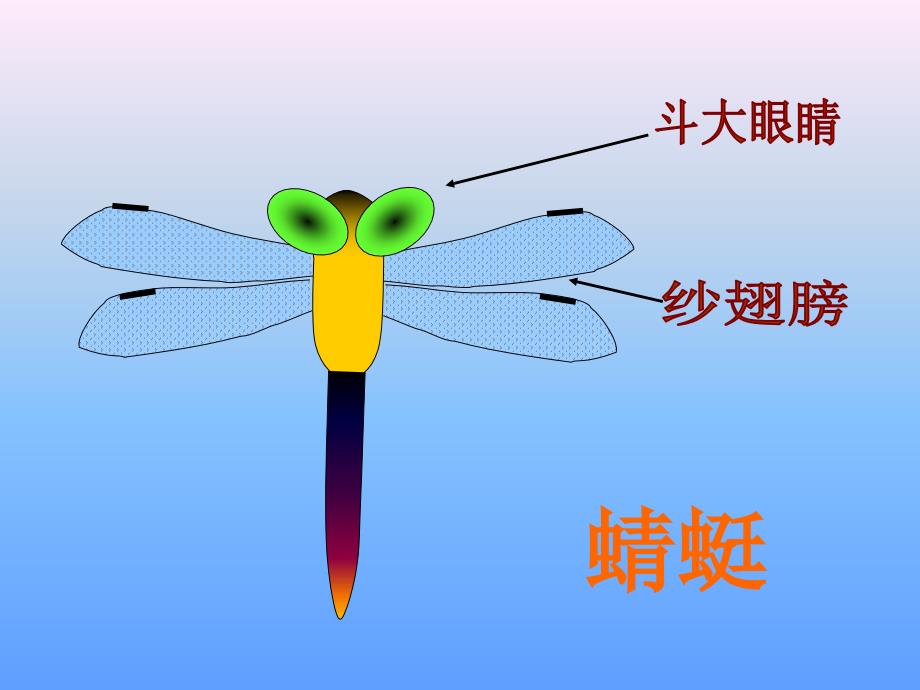 人教版小学美术二年级上册《蜻蜓飞飞》课件11_第4页