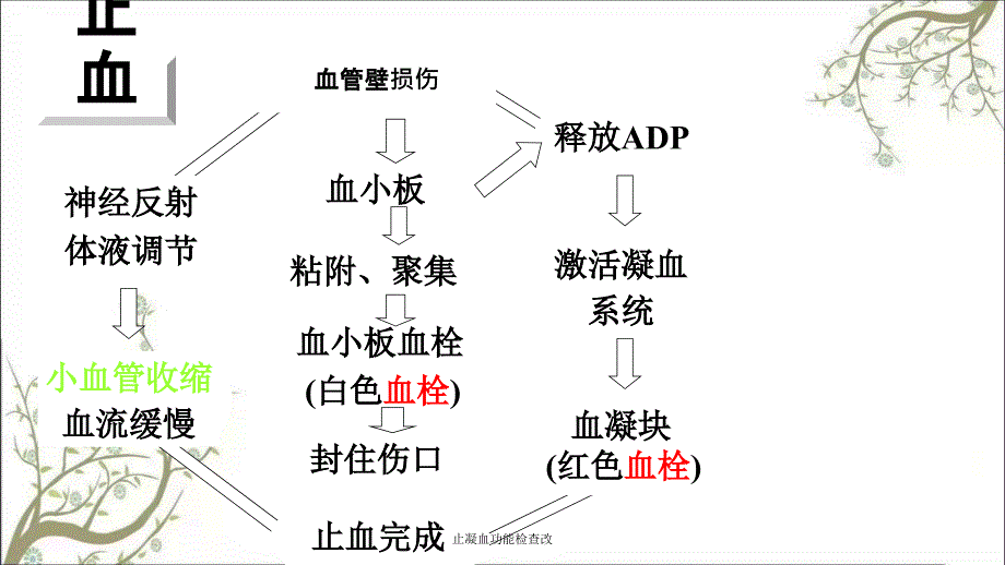 止凝血功能检查改_第4页