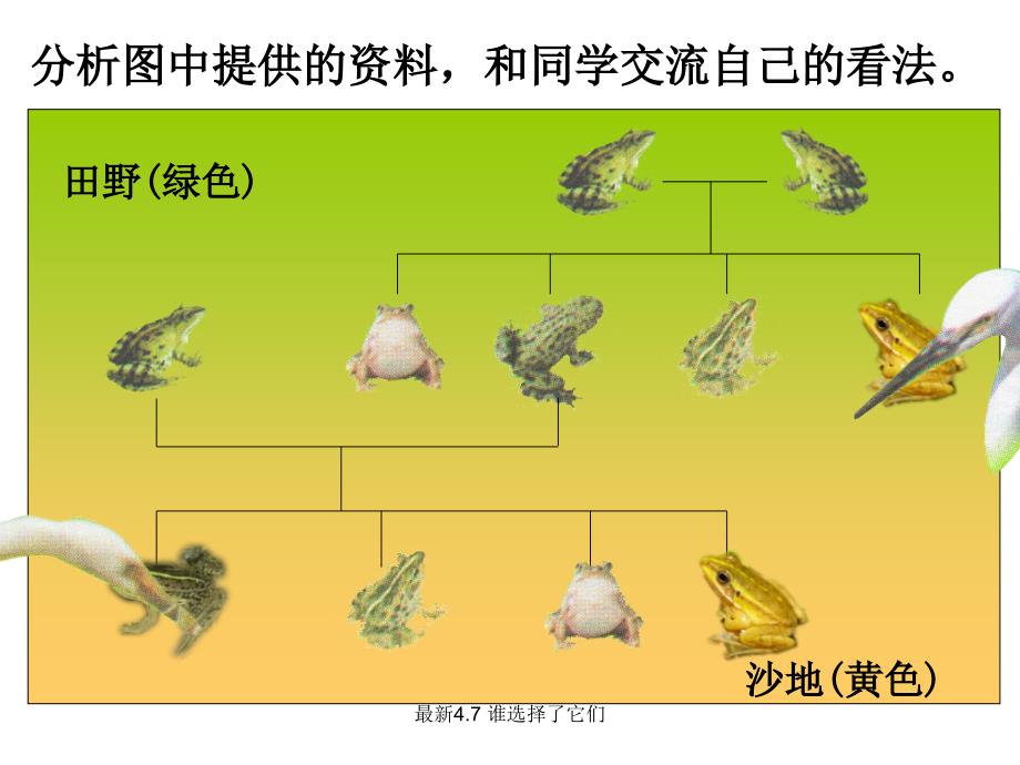 最新4.7谁选择了它们_第4页