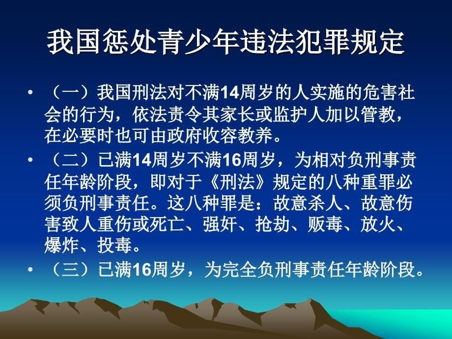 《知法守法快乐成长》PPT课件.ppt_第5页