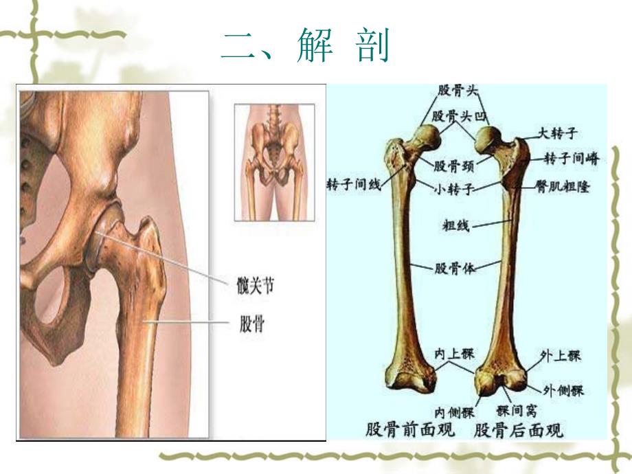 股骨粗隆间骨折护理_第4页