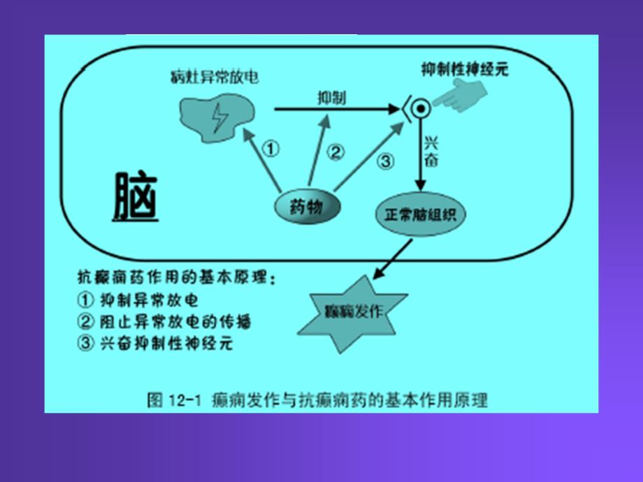 抗癫痫药及抗惊厥药解读_第3页