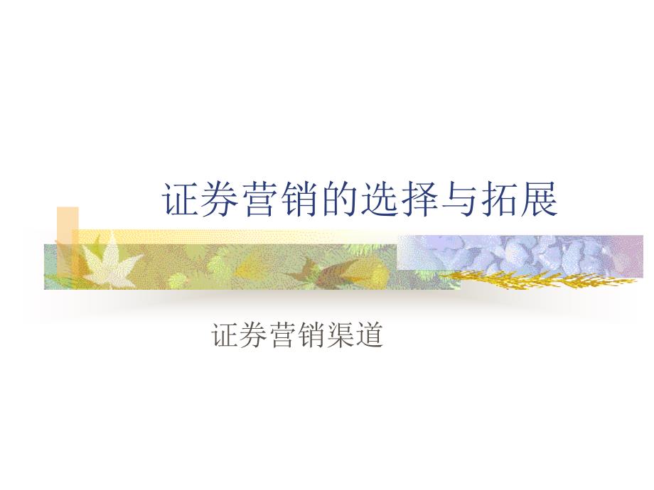 证券营销的选择与拓展_第1页