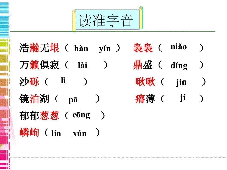 地下森林断想公开课ppt课件_第5页