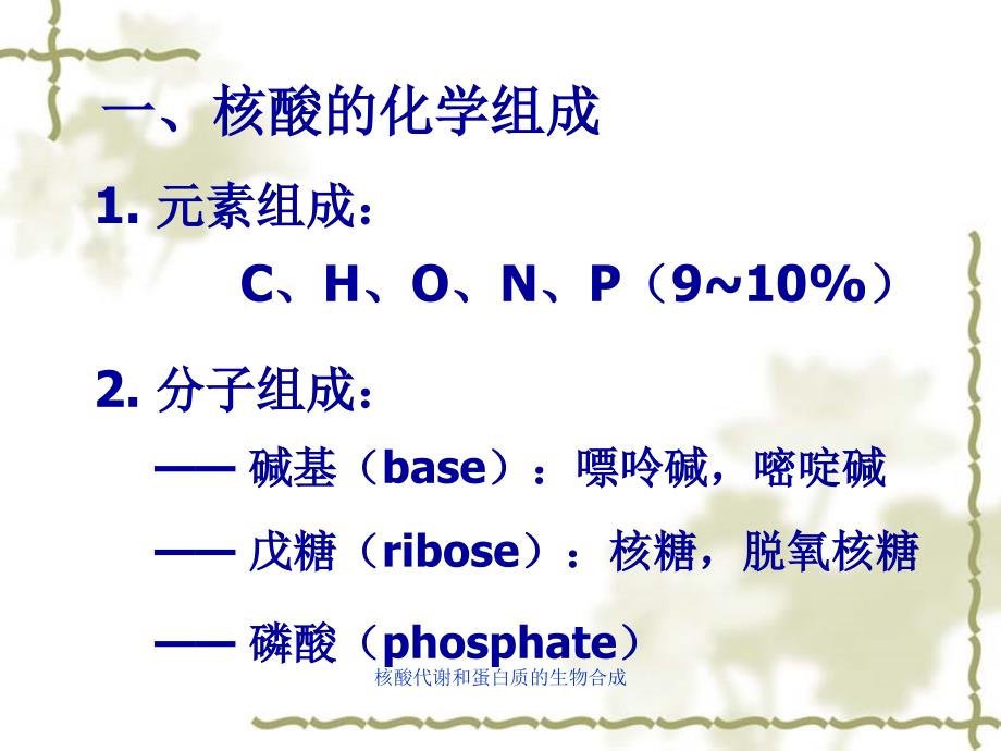 核酸代谢和蛋白质的生物合成课件_第3页