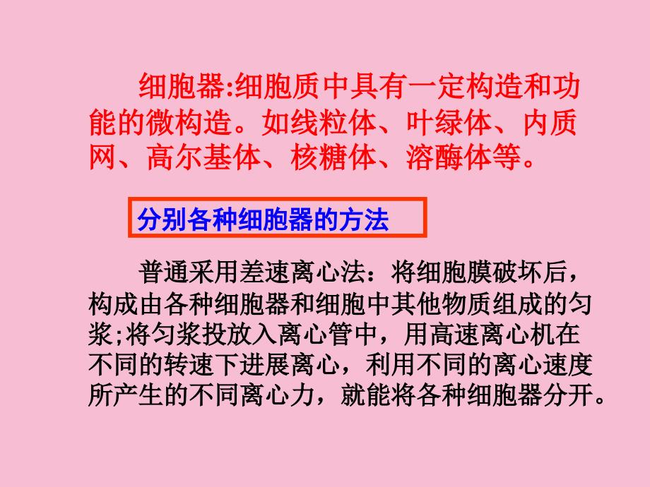 细胞的类型和结构细胞器ppt课件_第3页