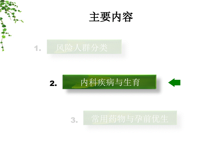 孕前风险评估_第4页