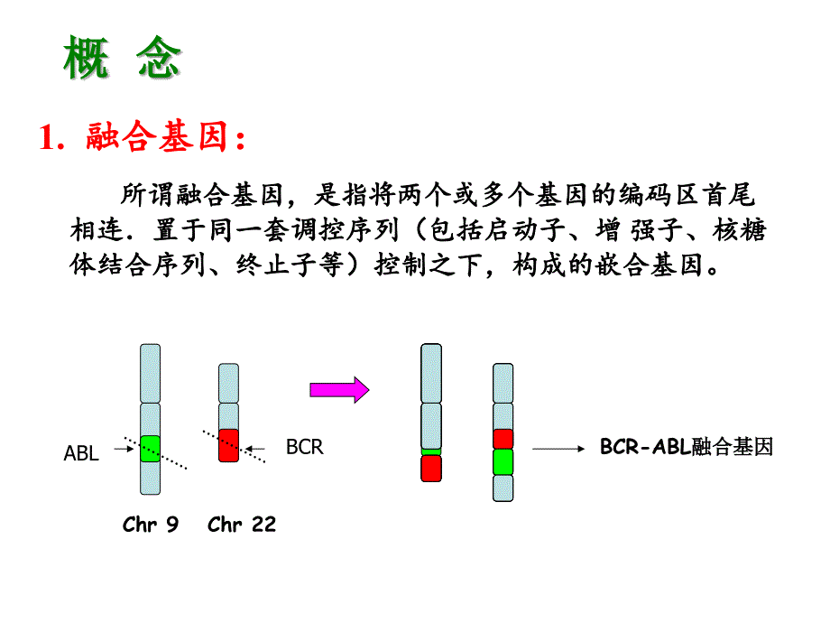 白血病分子诊疗_第3页