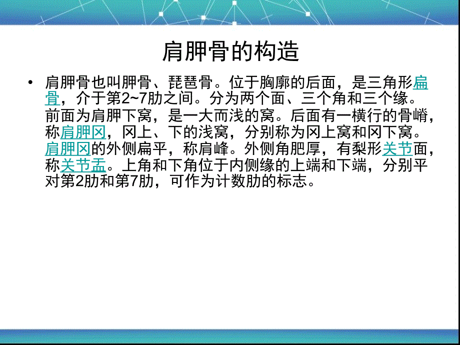 菱形肌与斜方肌的作用_第1页