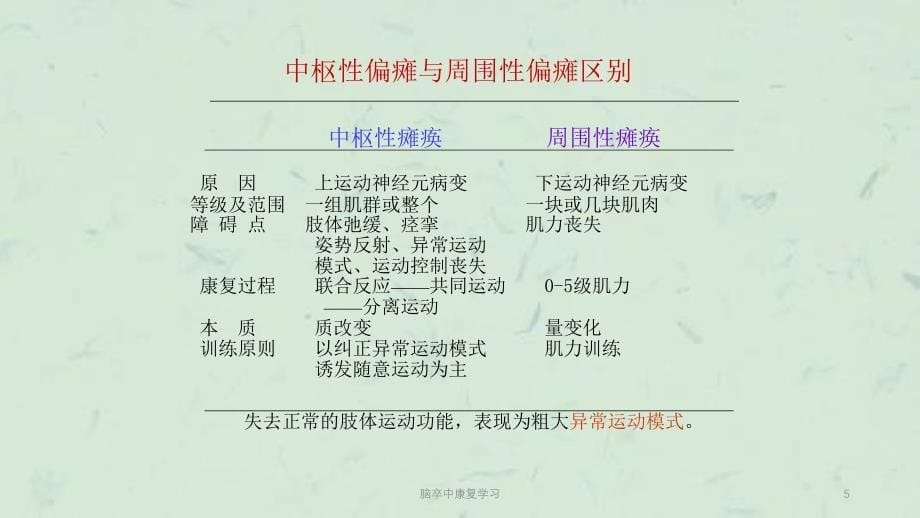 脑卒中康复学习课件_第5页