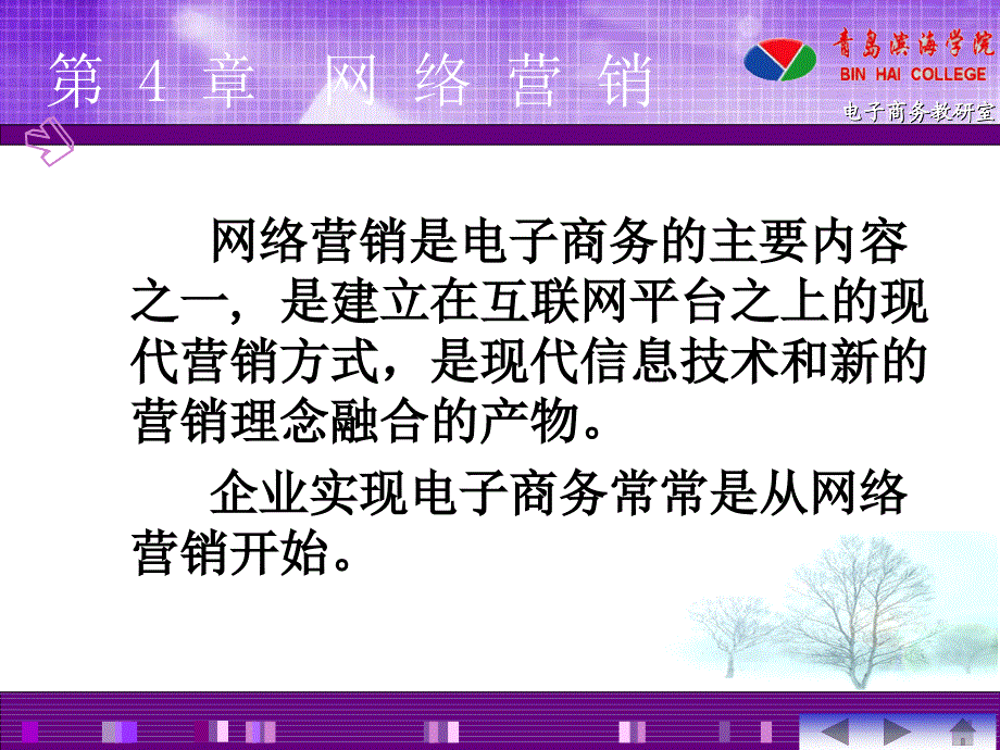 《电子商务网络营销》PPT课件_第2页