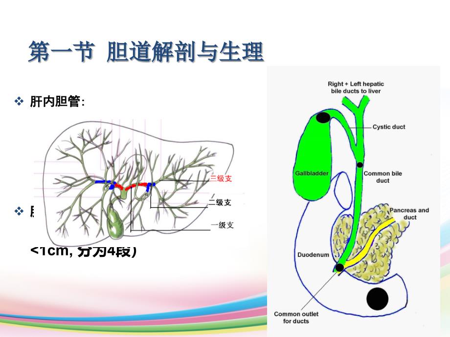 胆道疾病全析讲解_第4页