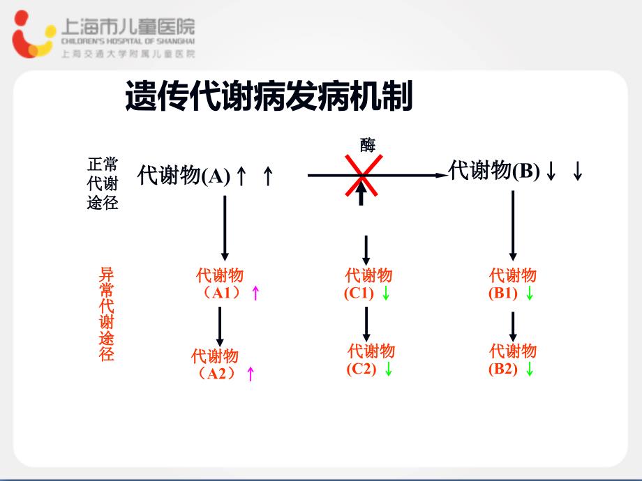 上海儿童医院课件_第3页