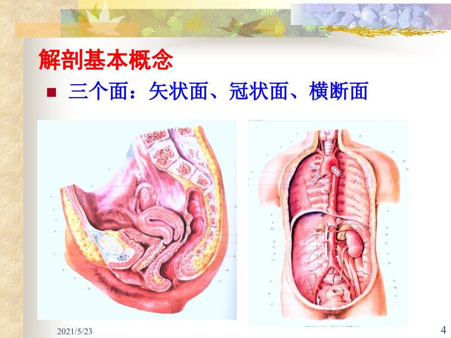 超声诊断图像辨识_第4页