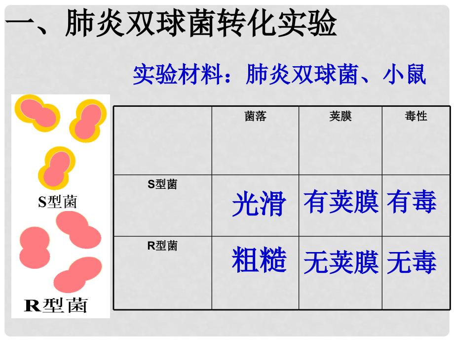 海南省海口市教育研究培训院高中生物 DNA是主要的遗传物质课件 新人教版必修2_第3页