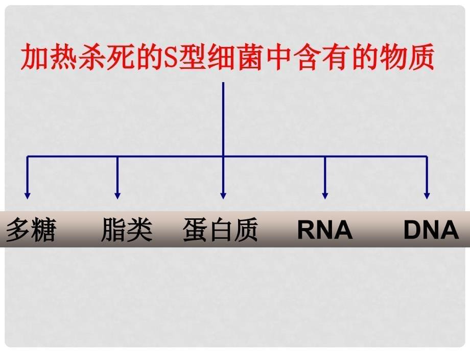 海南省海口市教育研究培训院高中生物 DNA是主要的遗传物质课件 新人教版必修2_第5页