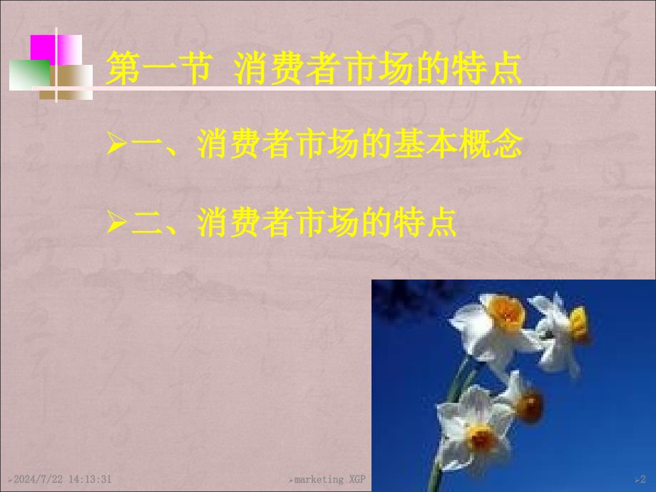 消费者市场及消费者行为.ppt_第2页