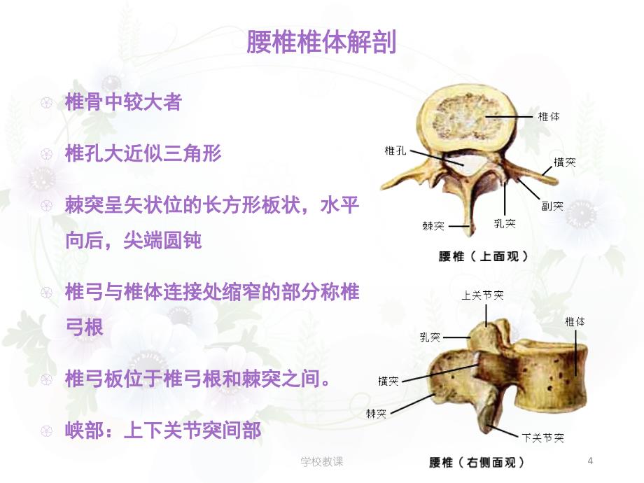 腰椎滑脱症术后护理查房【专业研究】_第4页