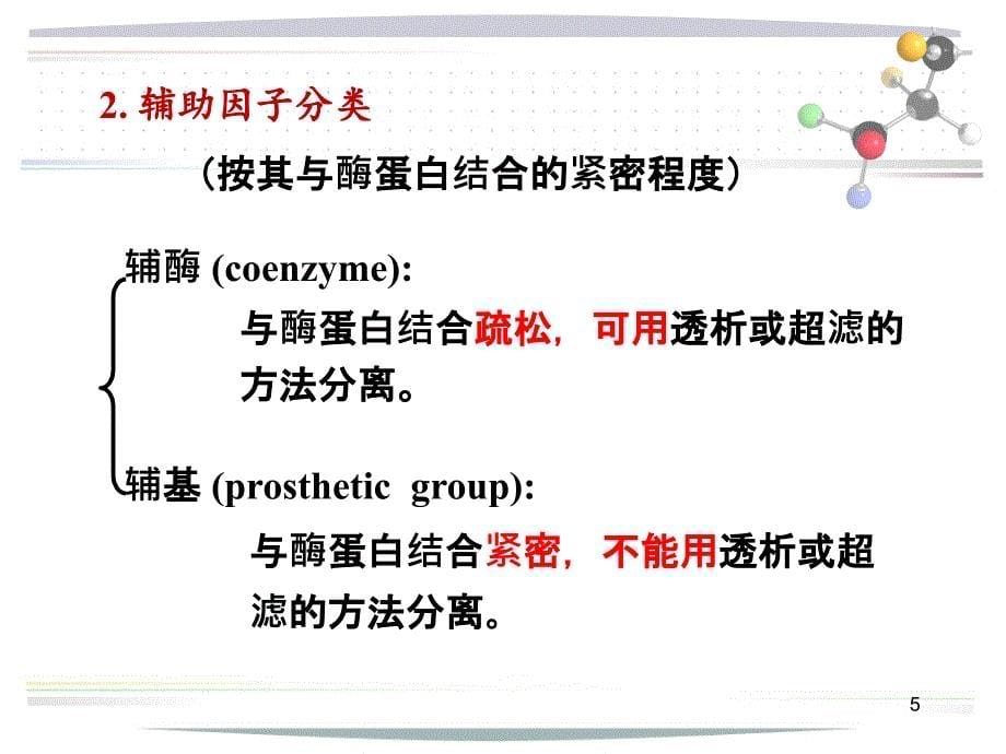 酶的分子结构与功能_第5页