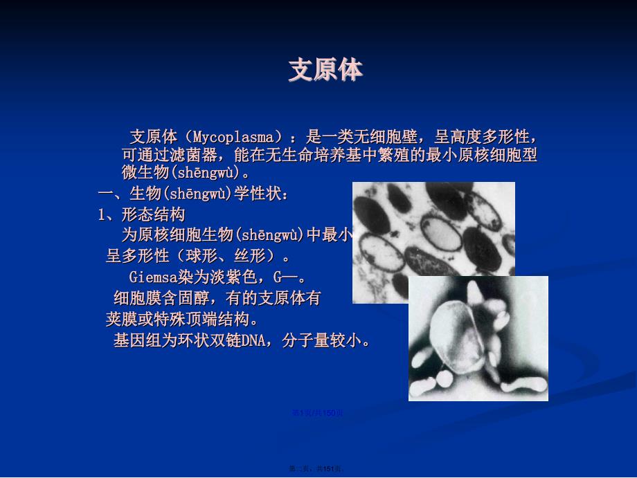 弧菌科学习教案_第2页