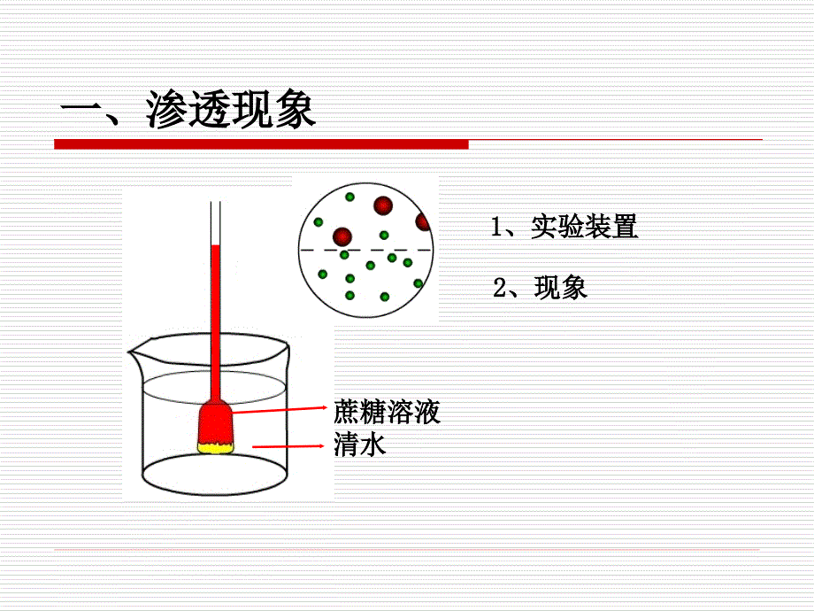 细胞的吸水和失水_第3页