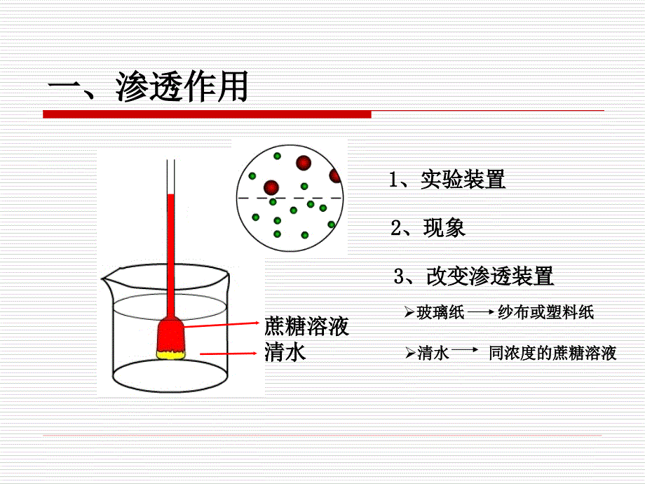 细胞的吸水和失水_第4页