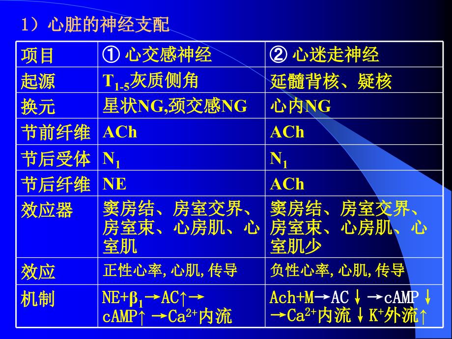 心血管活动的调节_第3页