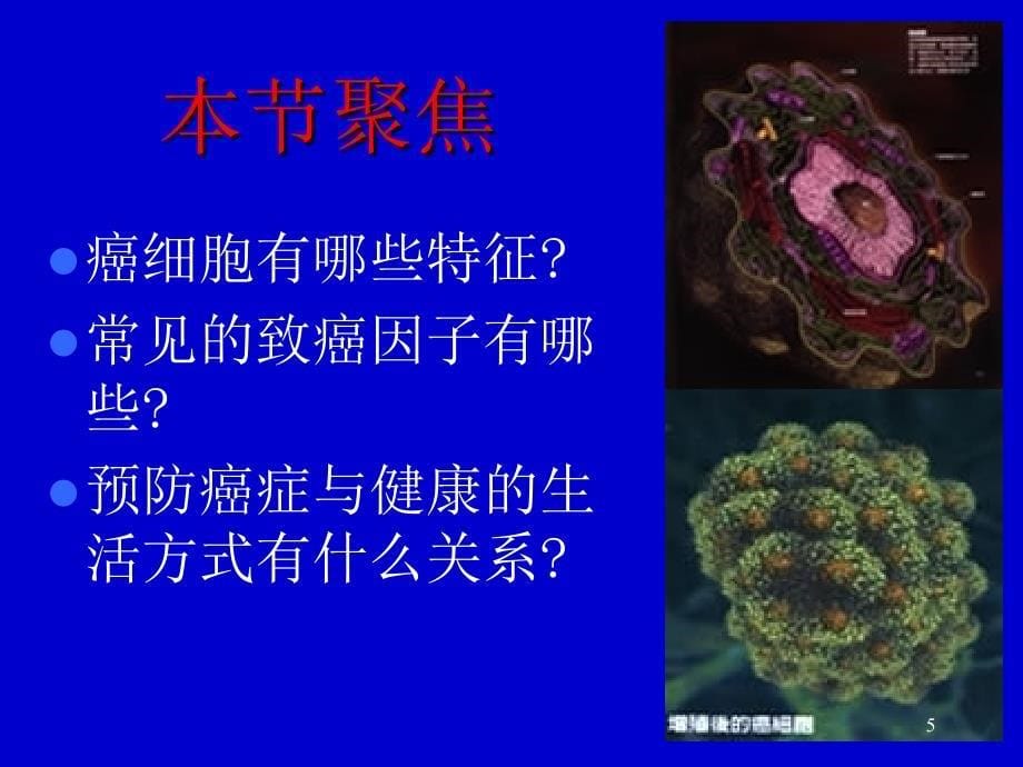 高中生物课件6.4细胞的癌变课件_第5页