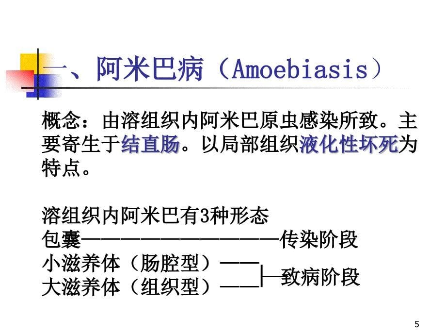 《病理学》教学课件：12-寄生虫_第5页