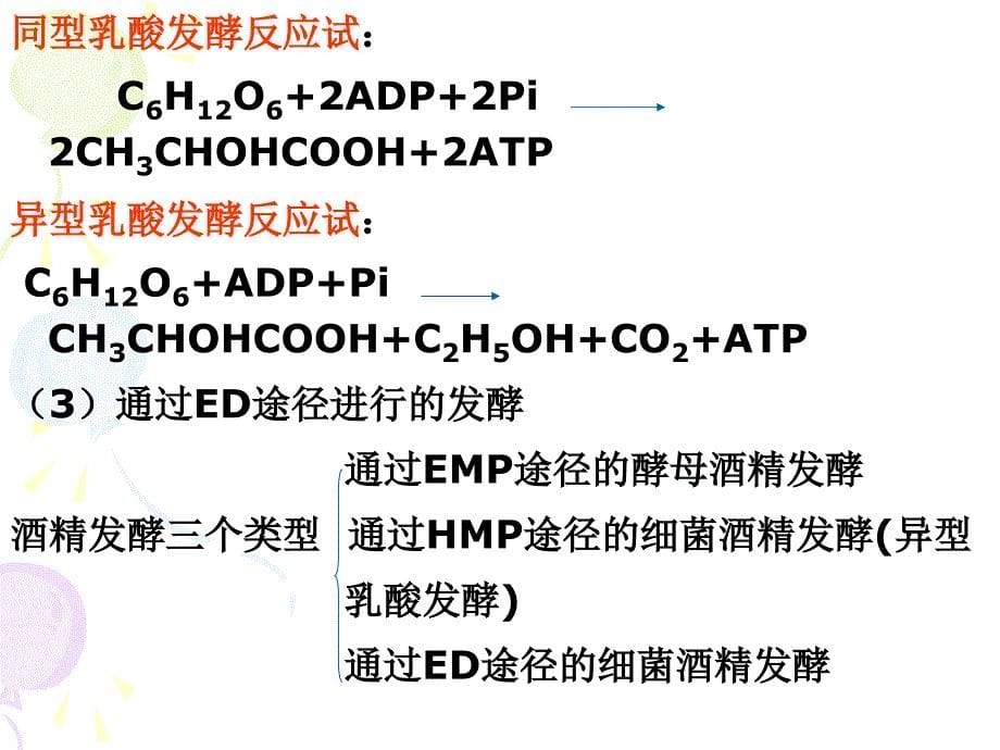 微生物的代谢和发酵_第5页