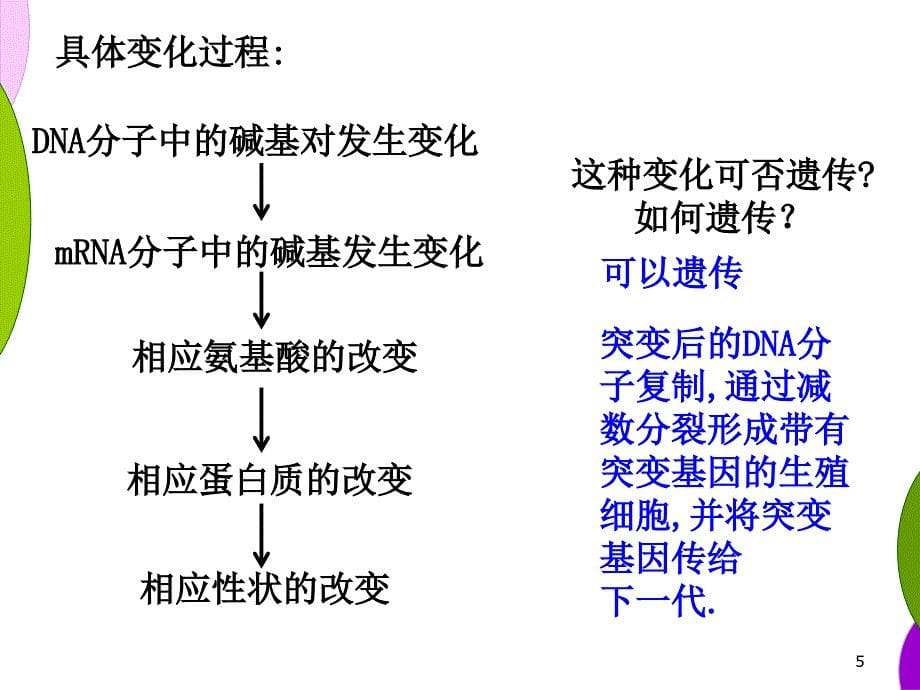 基因突变和基因重组ppt_第5页