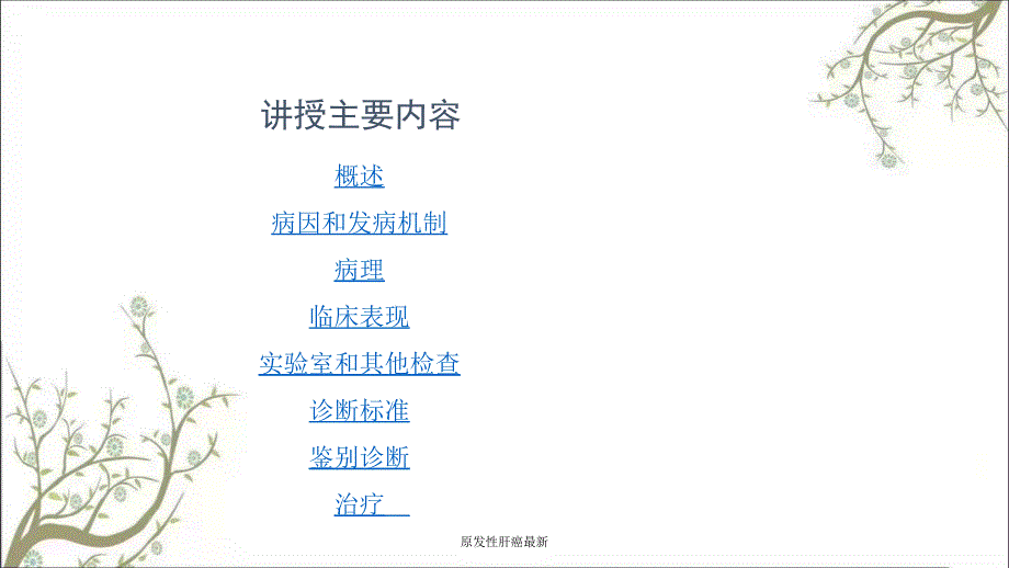 原发性肝癌最新课件_第3页