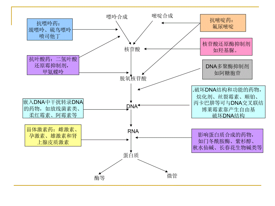 抗肿瘤药物分类及作用机制_第4页