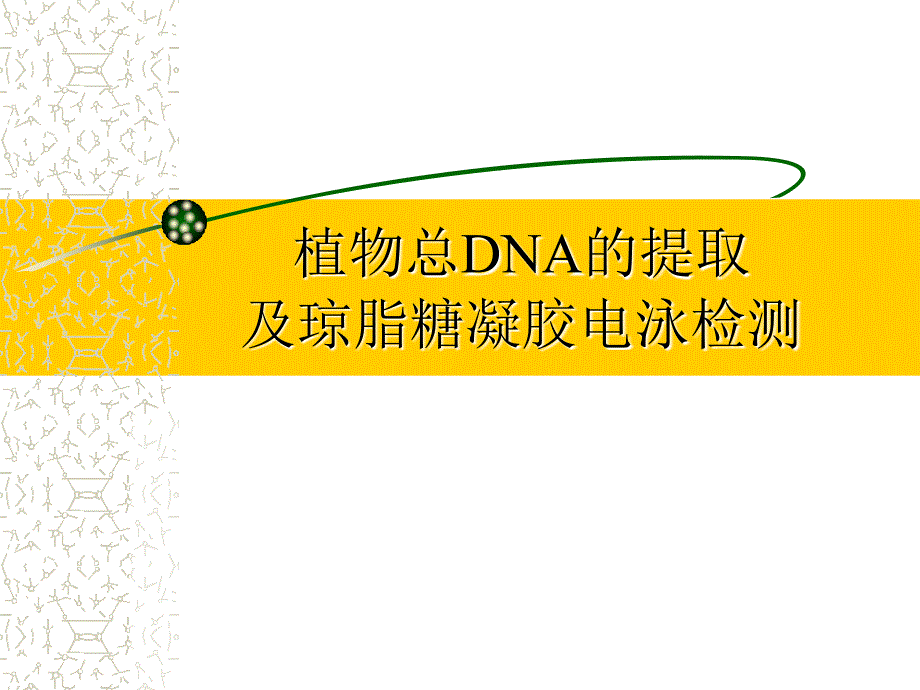 植物总DNA提取及琼脂糖凝胶电泳检测_第1页