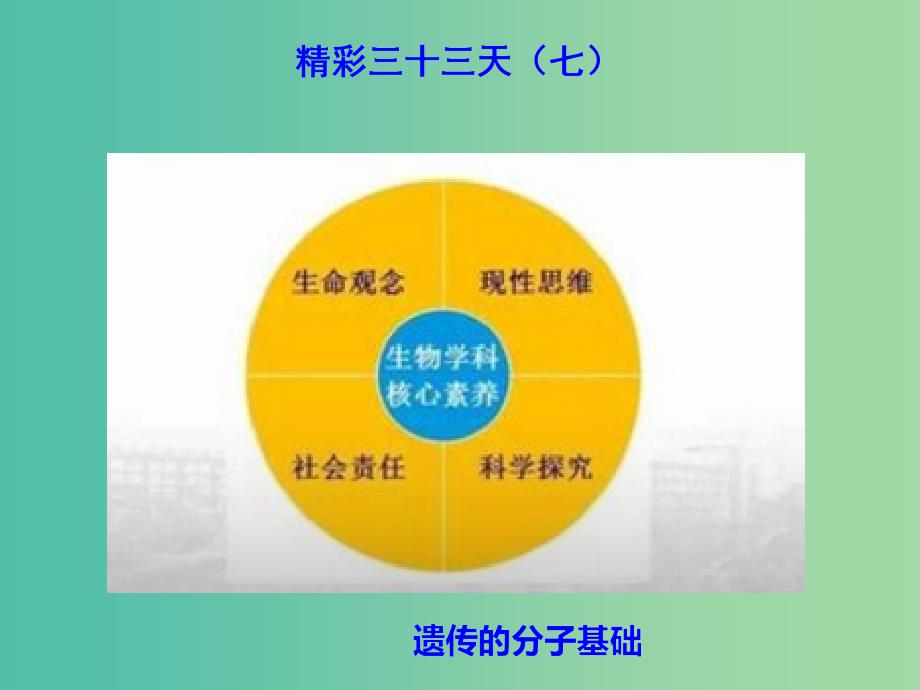 2019高考生物总复习 精彩三十三天（七）遗传的分子基础课件.ppt_第1页