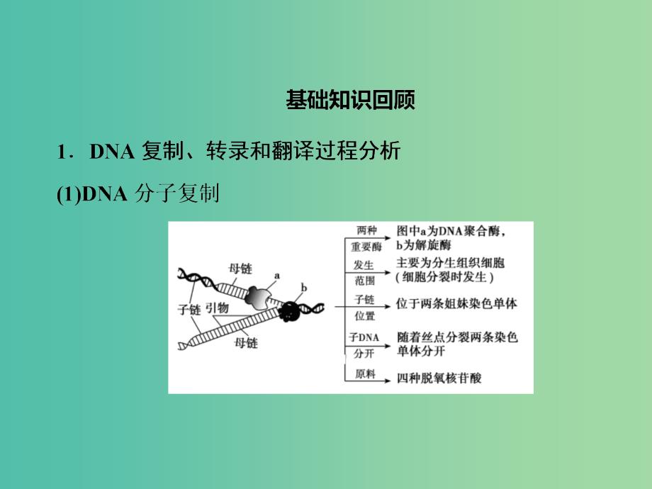 2019高考生物总复习 精彩三十三天（七）遗传的分子基础课件.ppt_第2页