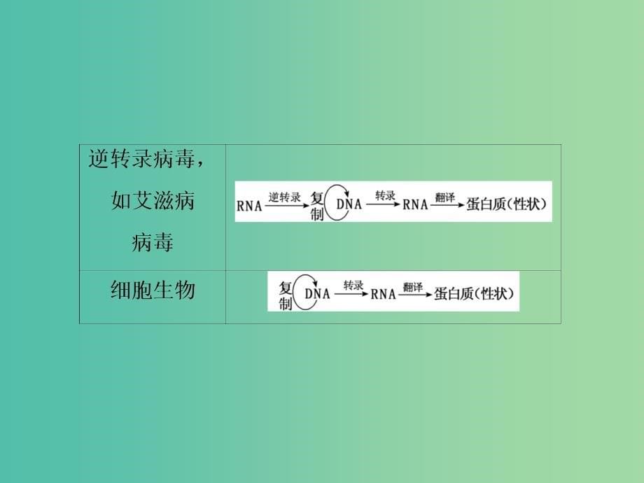 2019高考生物总复习 精彩三十三天（七）遗传的分子基础课件.ppt_第5页