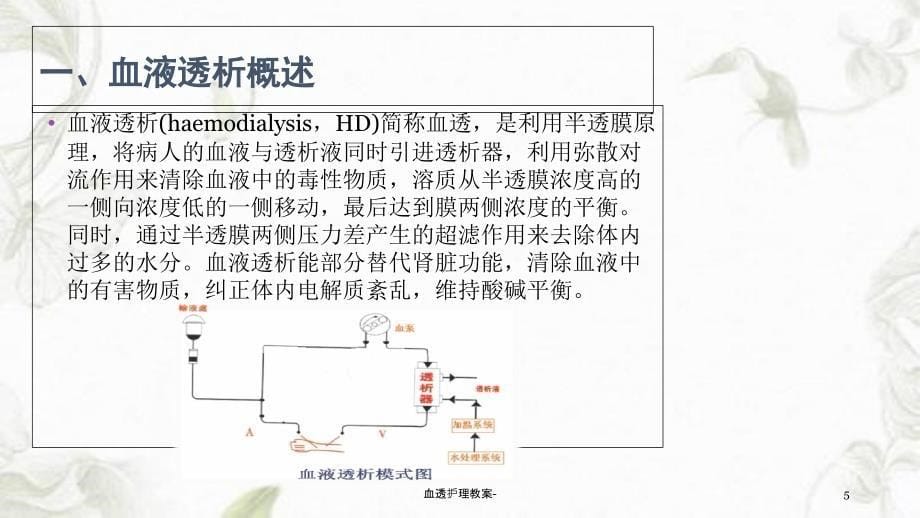 血透护理教案课件_第5页