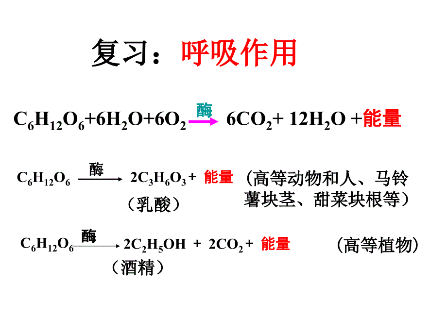 光合作用发现的历程_第1页