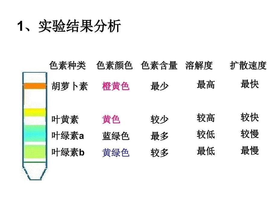 光合作用发现的历程_第5页