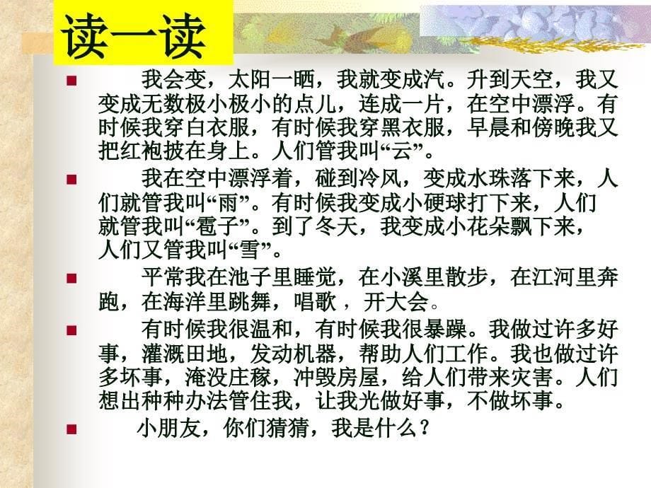 《我是什么》课件_第5页