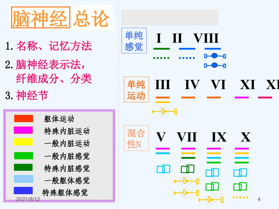 神经解剖学脑神经（59页）讲座_第4页