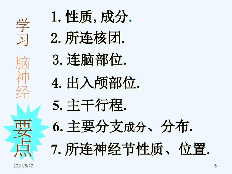 神经解剖学脑神经（59页）讲座_第5页