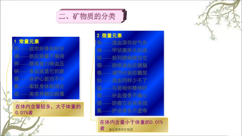 食品营养学矿物质_第4页