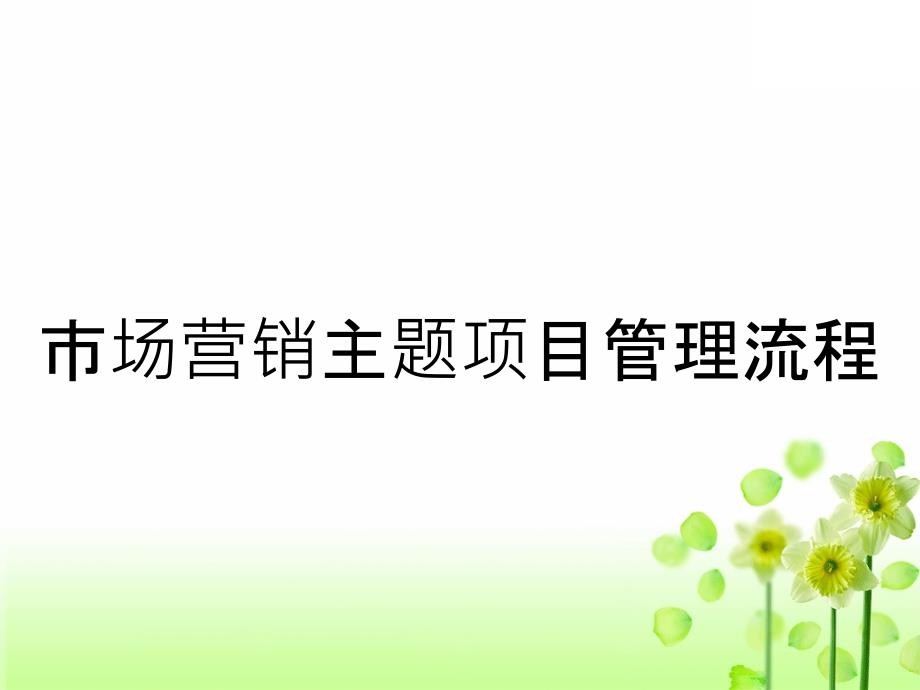 市场营销主题项目管理流程_第1页