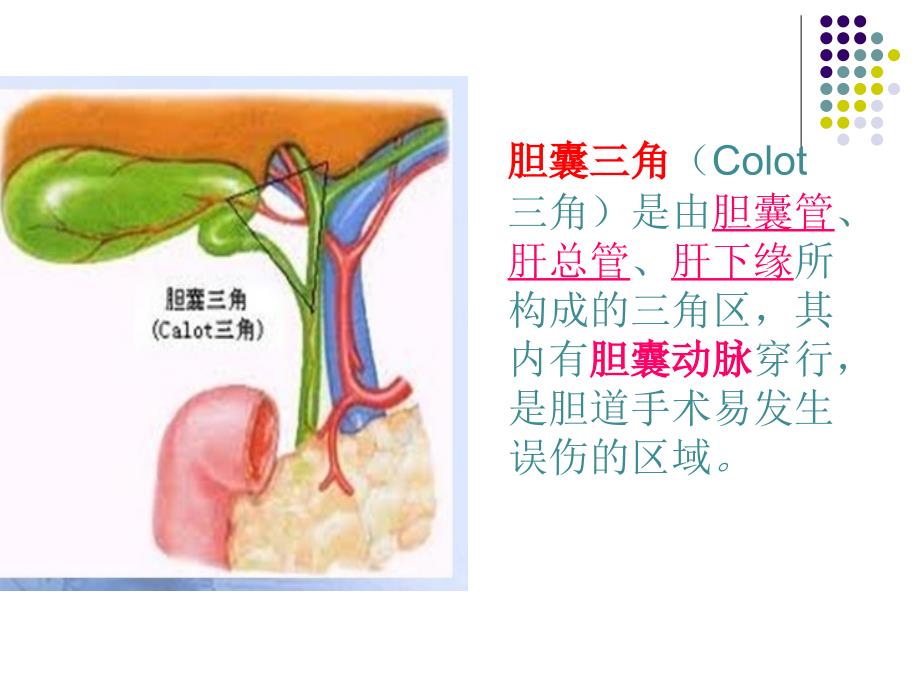 腹腔镜下保胆取石 ppt课件_第4页