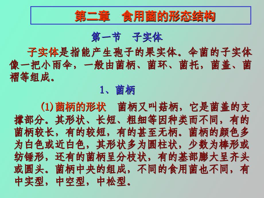 食用菌的形态结构_第4页