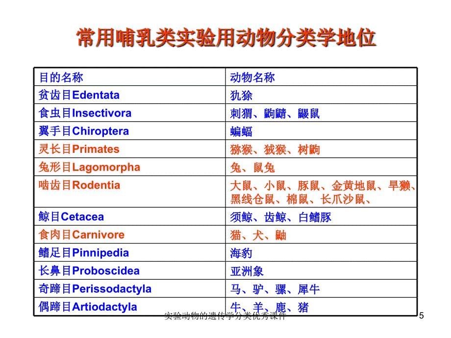 实验动物的遗传学分类课件_第5页