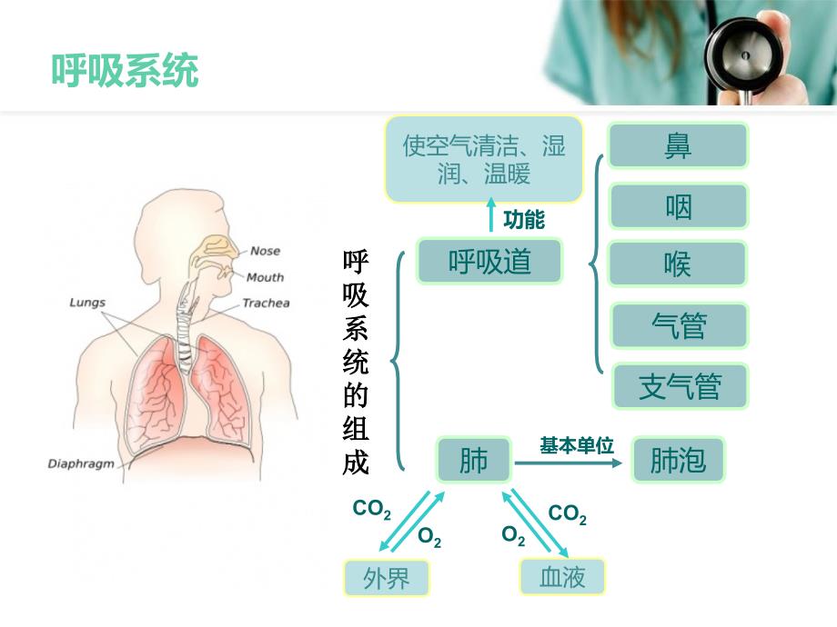 上呼吸道感染治疗进展与展望_第3页