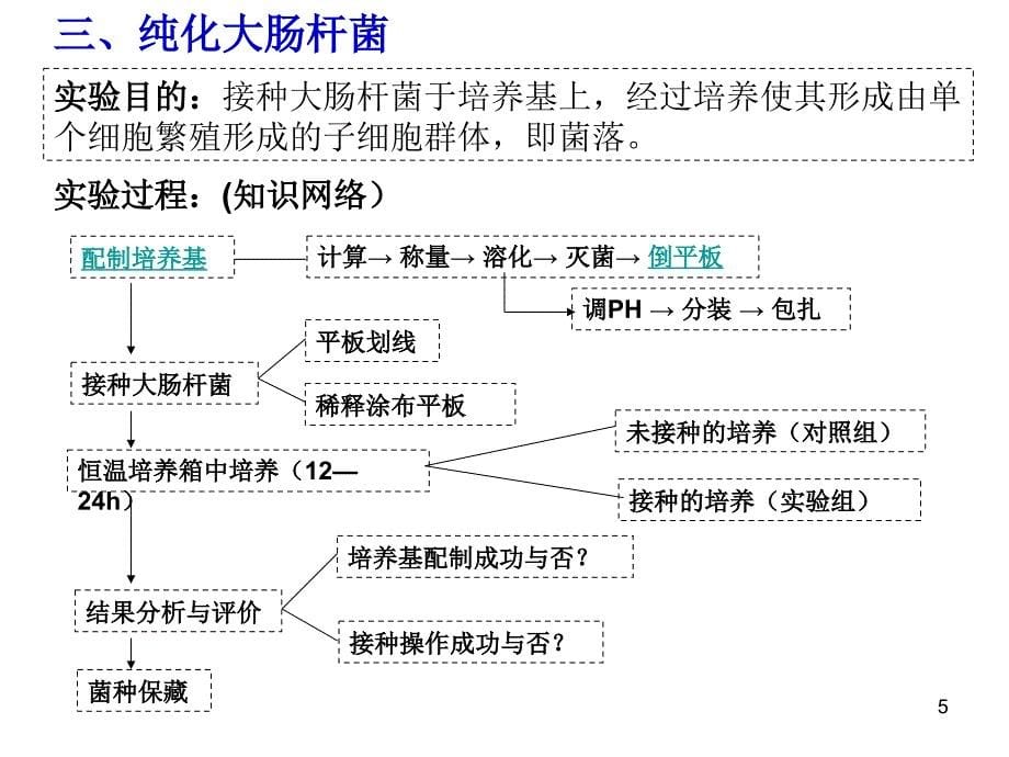 微生物的实培养第二课时_第5页